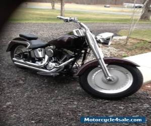 Motorcycle 2005 Harley-Davidson Softail for Sale