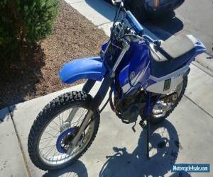 Motorcycle 2003 Yamaha TTR 225 for Sale