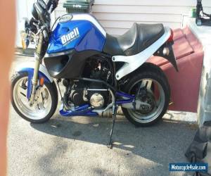 2001 Buell Lightning for Sale