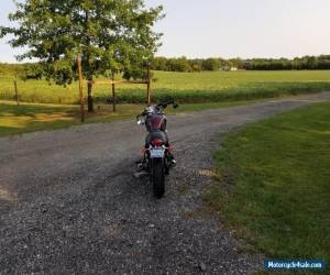 Motorcycle 1996 Triumph Thunderbird for Sale