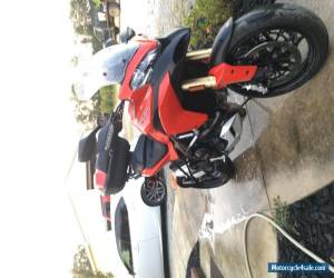 Motorcycle 2014 Ducati Other for Sale