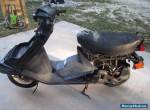2003 Honda CH 80 for Sale