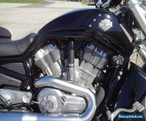 Motorcycle 2009 Harley-Davidson V-ROD for Sale