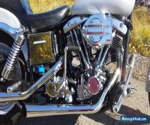 Motorcycle 1981 Harley-Davidson FXWG for Sale