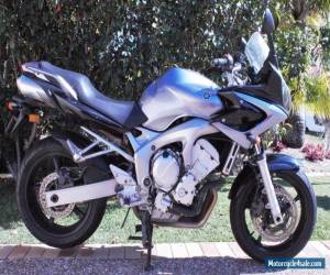 Yamaha 2006 FZ6s for Sale