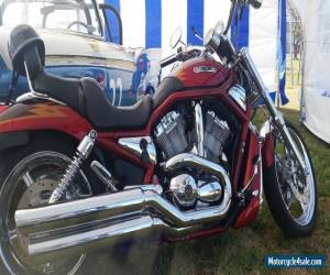 2005 Harley-Davidson V-ROD for Sale