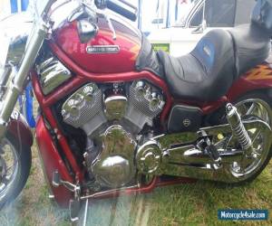 Motorcycle 2005 Harley-Davidson V-ROD for Sale