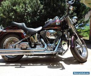 Motorcycle 2003 Harley-Davidson Softail for Sale