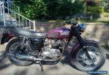 Triumph: Tiger for Sale