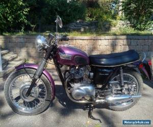 Motorcycle Triumph: Tiger for Sale