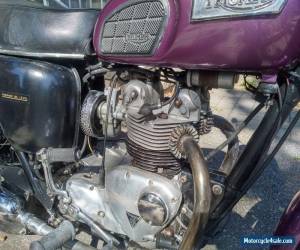 Motorcycle Triumph: Tiger for Sale