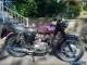 Triumph: Tiger for Sale