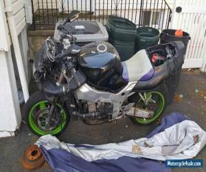 Motorcycle 1994 Kawasaki Ninja for Sale