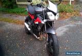 2013 Triumph Other for Sale