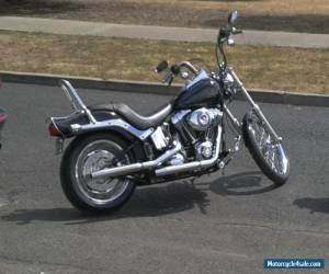 Motorcycle Harley Davidson FXSTC 2008 for Sale