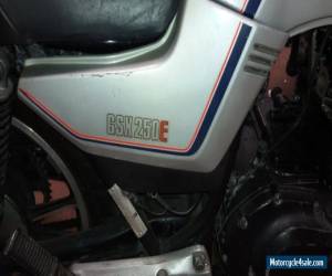 Motorcycle Suzuki GSX250 Motorcycle for Sale