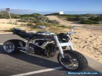 Custom Suzuki Hayabusa GIA Enginnering