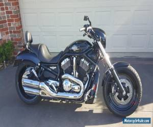 harley davidson night rod 2007 for Sale