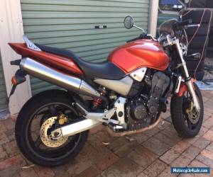 2007 Honda Hornet CB900 Motorbike for Sale