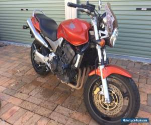 Motorcycle 2007 Honda Hornet CB900 Motorbike for Sale