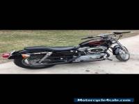 2001 Harley-Davidson Sportster