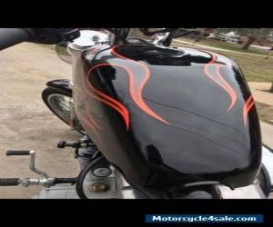 Motorcycle 2001 Harley-Davidson Sportster for Sale