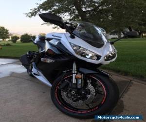 Motorcycle 2013 Kawasaki Ninja for Sale