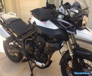 Motorcycle 2014 Triumph Tiger for Sale