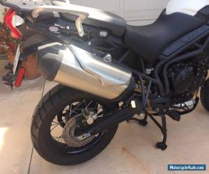 Motorcycle 2014 Triumph Tiger for Sale