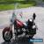 1999 Harley-Davidson Softail for Sale