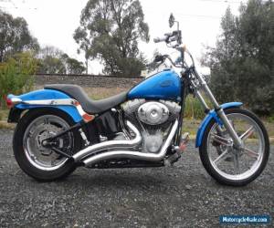 HARLEY DAVIDSON SOFTAIL STD 2004 MODEL WITH ONLY 8138ks for Sale