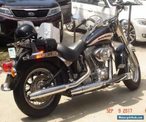 2006 Harley-Davidson Softail for Sale