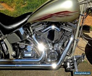 Motorcycle 2001 Harley-Davidson Softail for Sale