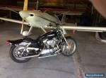 2004 Harley-Davidson Sportster for Sale