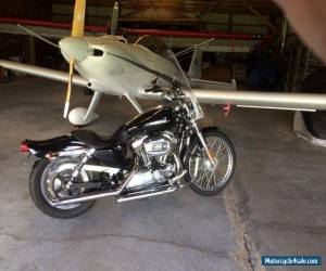 Motorcycle 2004 Harley-Davidson Sportster for Sale