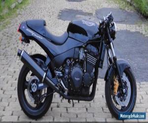 Motorcycle 1995 Triumph Speed Triple for Sale