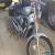 2008 Suzuki Boulevard for Sale