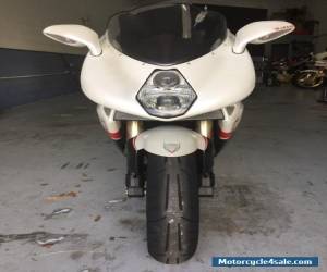 Motorcycle 2008 MV Agusta for Sale