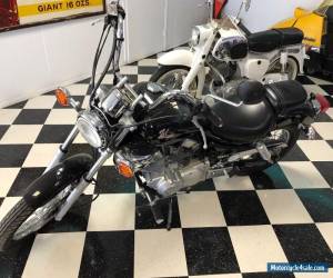 Motorcycle 1996 Yamaha Virago for Sale