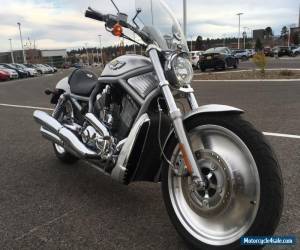 Motorcycle 2003 Harley-Davidson VROD for Sale