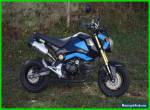 2014 Honda Grom for Sale