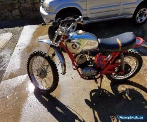 Motorcycle 1973 Hodaka Dirt Squirt for Sale