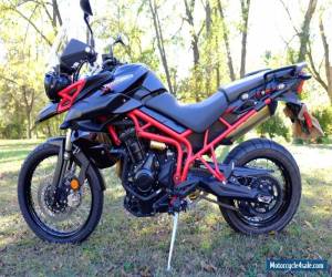 Motorcycle 2014 Triumph Tiger for Sale