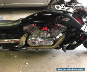 Motorcycle 2014 Harley-Davidson V-ROD for Sale