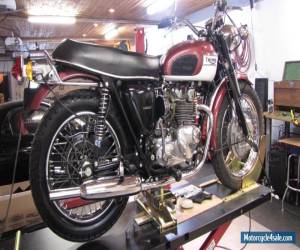 Motorcycle 1972 Triumph Daytona for Sale