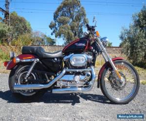 Motorcycle HARLEY DAVIDSON 1200cc CUSTOM 2000 MODEL IN FANTASTIC CONDITION for Sale