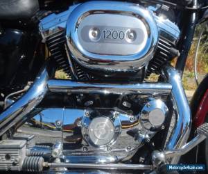 Motorcycle HARLEY DAVIDSON 1200cc CUSTOM 2000 MODEL IN FANTASTIC CONDITION for Sale