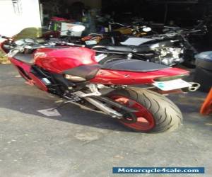 Motorcycle 2000 Kawasaki Ninja for Sale