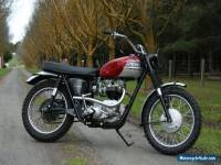 Triumph 1964 TR6SC Motorcycle