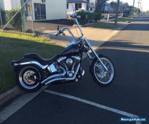 Motorcycle Harley Davidson soft tail custom  for Sale
